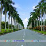 trang-bang-industrial-park-tttfic-group-9