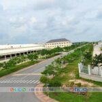 Tan Binh Industrial Park - Binh Duong - TTTFIC Group