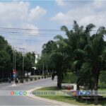 Viet Huong 1 Industrial Park - Binh Duong Province - TTTFIC Group