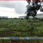 Dong Xoai 3 Industrial Park - Binh Phuoc - TTTFIC Group