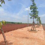 Industrial Land For Sale - Viet Kieu Industrial Park - Binh Phuoc Province - TTTFIC Group