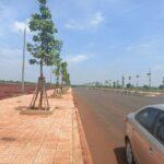 Industrial Land For Sale - Viet Kieu Industrial Park - Binh Phuoc Province - TTTFIC Group