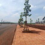 Industrial Land For Sale - Viet Kieu Industrial Park - Binh Phuoc Province - TTTFIC Group