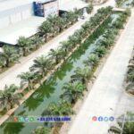 Duc Hoa 3 - Thai Hoa Industrial Park, Long An - TTTFIC Group