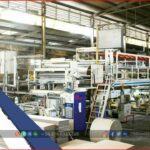 Factory For Sale - Paper Manufacturing Plant - TTTFIC Group