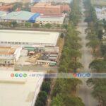 Green trees cover the roads in Linh Trung 3 Export Processing Zone - TTTFIC GROUP