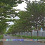 My Xuan B1 - Conac Industrial Park - Vung Tau - TTTFIC Group