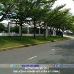 My Xuan B1 - Conac Industrial Park - Vung Tau - TTTFIC Group