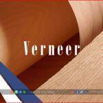 Transfer of the Entire Veneer Manufacturing Plant in Tan Uyen City Binh Duong - Province - TTTFIC group