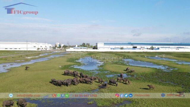 My Trung Industrial Park – Nam Dinh Province – TTTFIC Group
