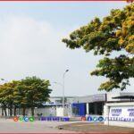 Dai An Industrial Park Expansion - Hai Duong Province - TTTFIC GROUP