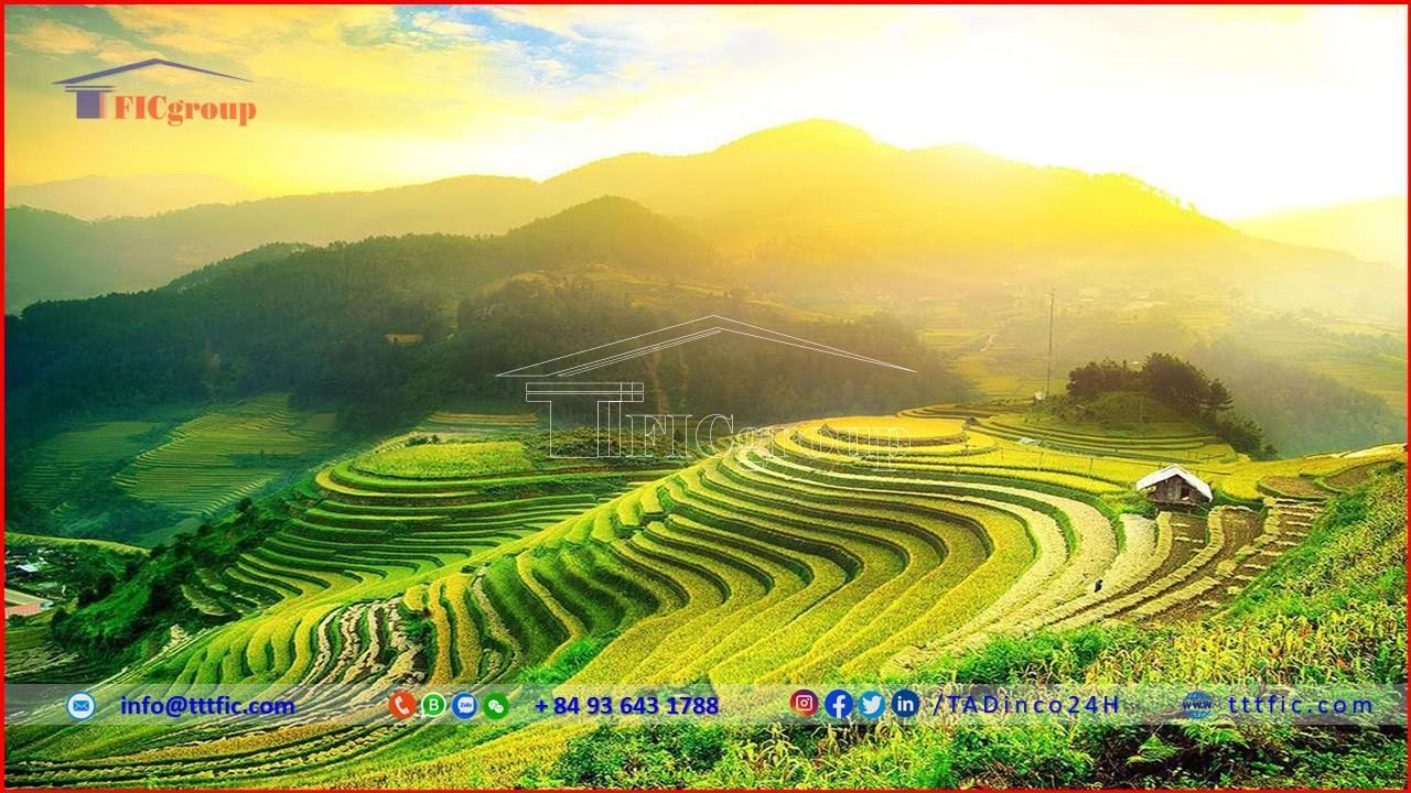 ha-giang-province-tttfic-group-2