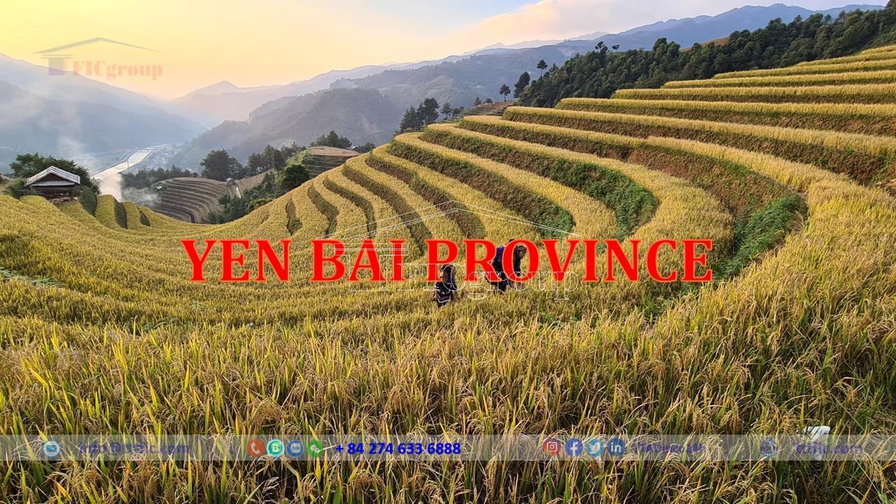 Mu Cang Chai terraced rice fields in Yen Bai Province, Vietnam – TTTFIC Group