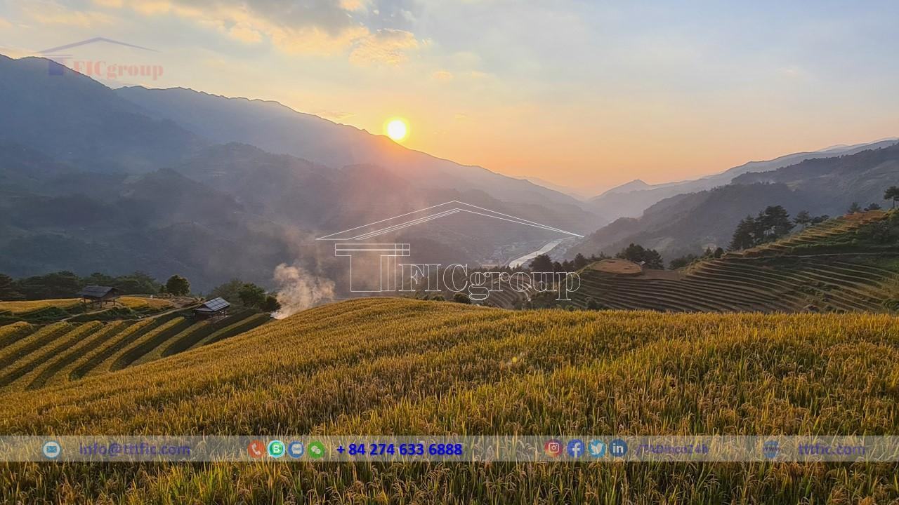 yen-bai-province-TTTFICGROUP-5