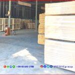 For Lease - Prime Manufacturing Wood Factory for Export - TTTFIC GROUP