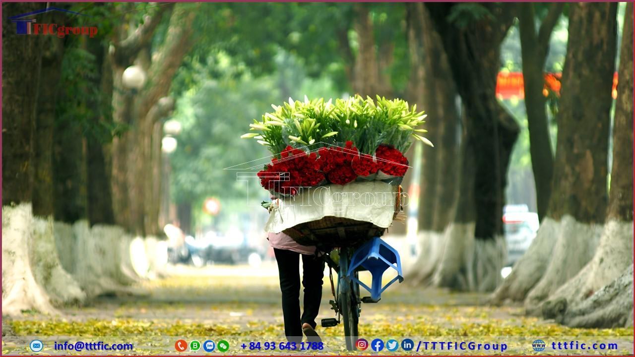 The beauty of Hanoi - TTTFIC Group