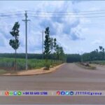 Land for sale in Viet Kieu Industrial Park - Binh Phuoc Province - TTTFIC Group