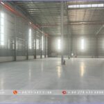 Factory for Lease in Phu An Thanh Industrial Park - Long An - TTTFIC Group