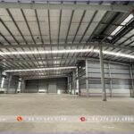 Factory for Lease in Thuan Dao Industrial Park - Long An - TTTFIC Group