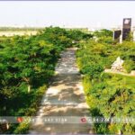 Land for Sale in Phu Vinh Industrial Park - Ha Tinh - TTTFIC Group