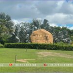 Land for sale in My My 2 Industrial Park - Ba Ria Vung Tau- TTTFIC Group