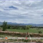 Land for sale in Tuy Phong Industrial Park - Binh Thuan - TTTFIC Group