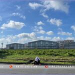 Land for sale in Vinh Loc 2 Industrial Park - Long An - TTTFIC Group