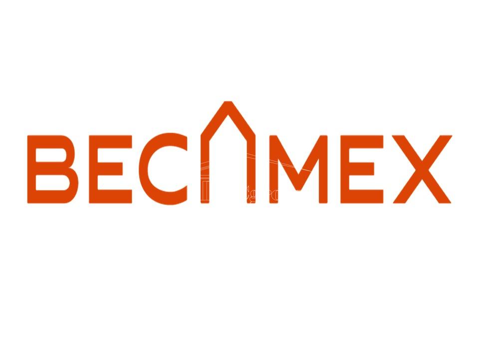 LOGO - Becamex